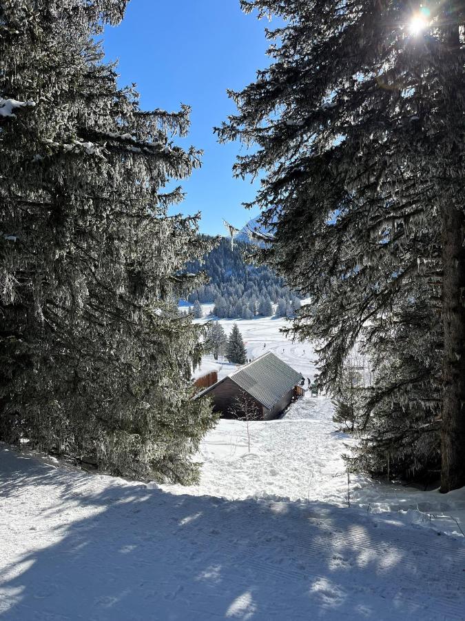 Chamrousse Appart 8 Personnes Au Pied Des Pistes Экстерьер фото