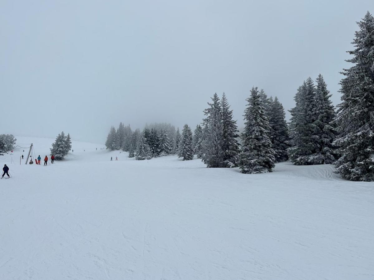 Chamrousse Appart 8 Personnes Au Pied Des Pistes Экстерьер фото